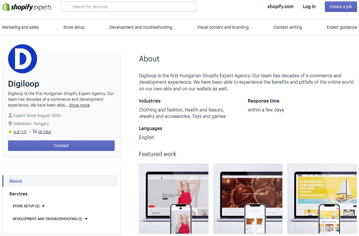 digiloop shopify expert