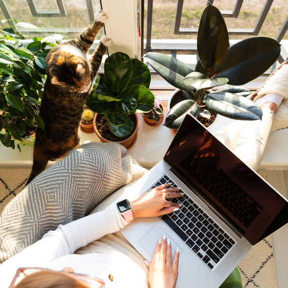 Rövid fejlesztési idő